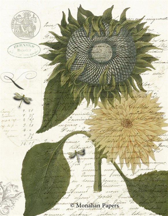 Decoupage Paper - Monahan Papers- BOT0066 - Sunflower - 11X17