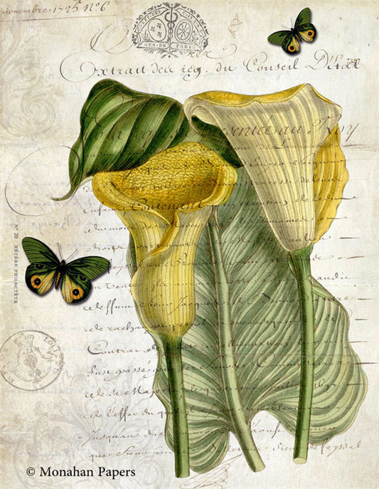 Decoupage Paper - Monahan Papers- BOT0077 - 11X17