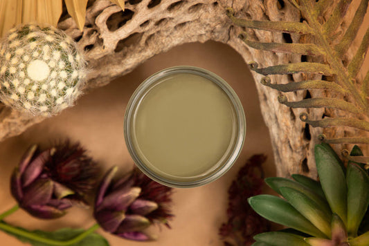 Paint - Dixie Belle - Silk All-in-One Mineral Paint - Cactus
