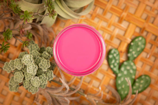 Paint - Dixie Belle - Silk All-in-One Mineral Paint - Prickly Pear