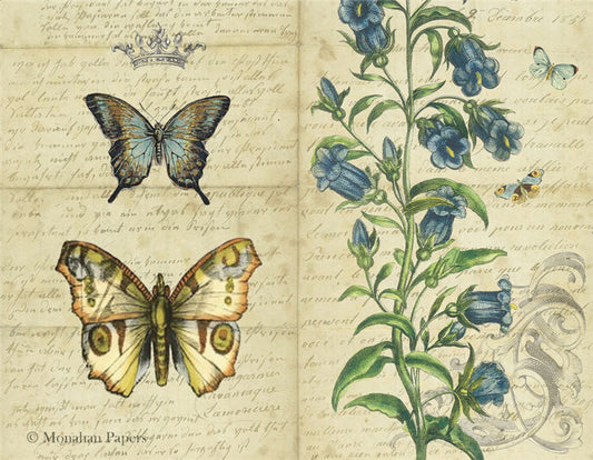 Decoupage Paper - Monahan Papers- SPS1251 Blue Bells Butterflies - 11x17
