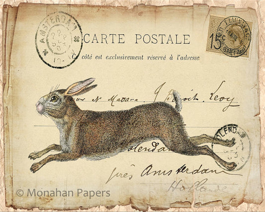Decoupage Paper - Monahan Papers- SPS0672 Running Hare - 11x17