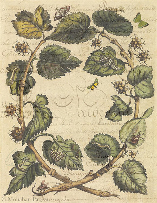 Decoupage Paper - Monahan Papers- X0379 Butterfly Leaves - 11x17